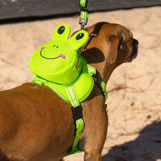 Harness Frog, , scaau_hi-res