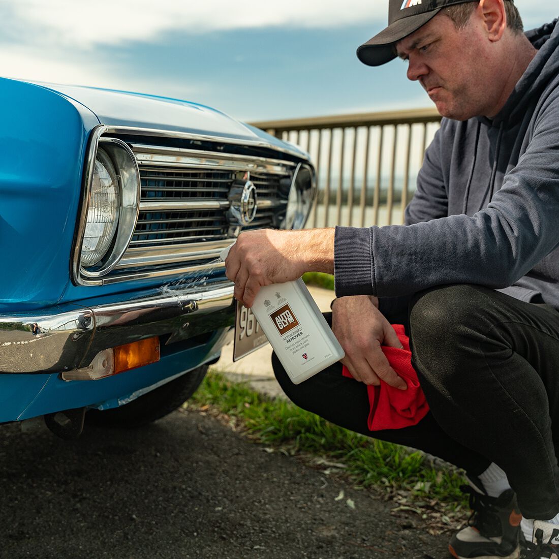 Autoglym Active Insect Remover 500mL, , scaau_hi-res