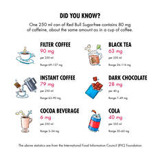 Red Bull Energy Drink Sugar Free 250mL, , scaau_hi-res