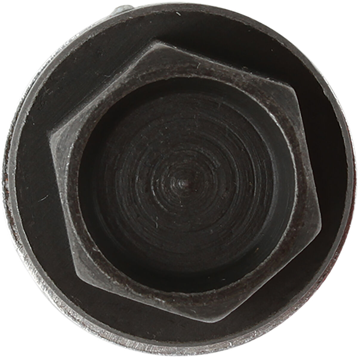 Tridon Oil Drain Plug TDP018, , scaau_hi-res