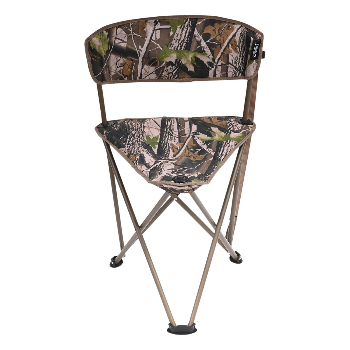 Camping stool shop with backrest