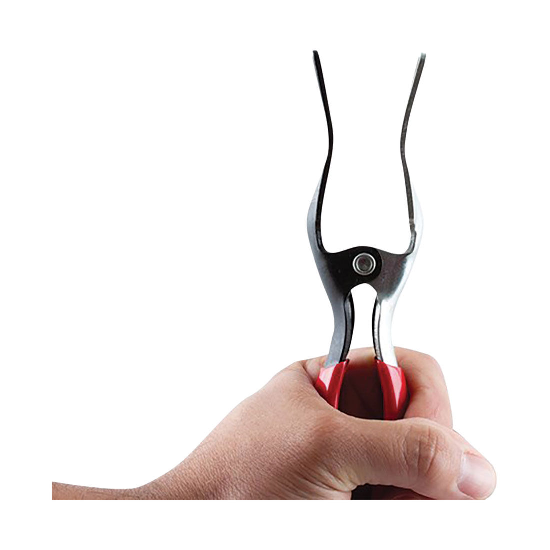 Toledo Fuel & Vacuum Hose Disconnect Pliers 301173, , scaau_hi-res