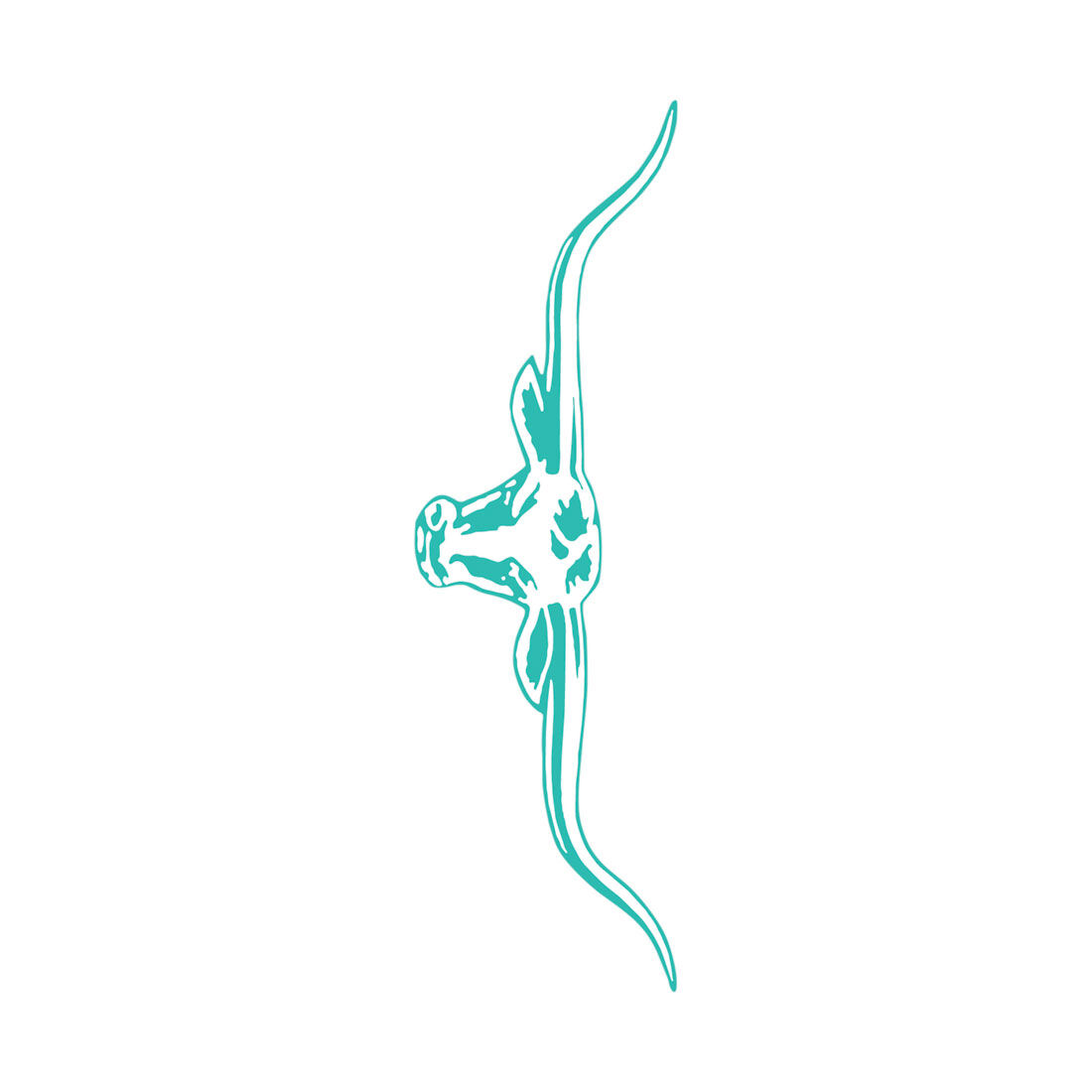 R.M.Williams Sticker 70cm Aqua, , scaau_hi-res