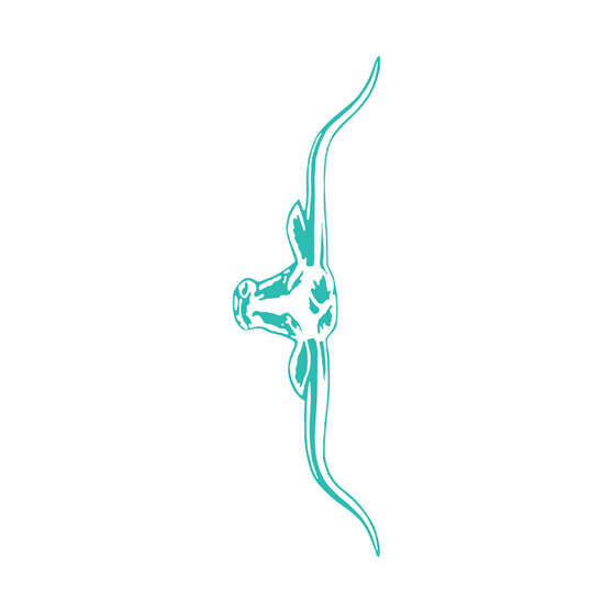 R.M.Williams Sticker 70cm Aqua, , scaau_hi-res