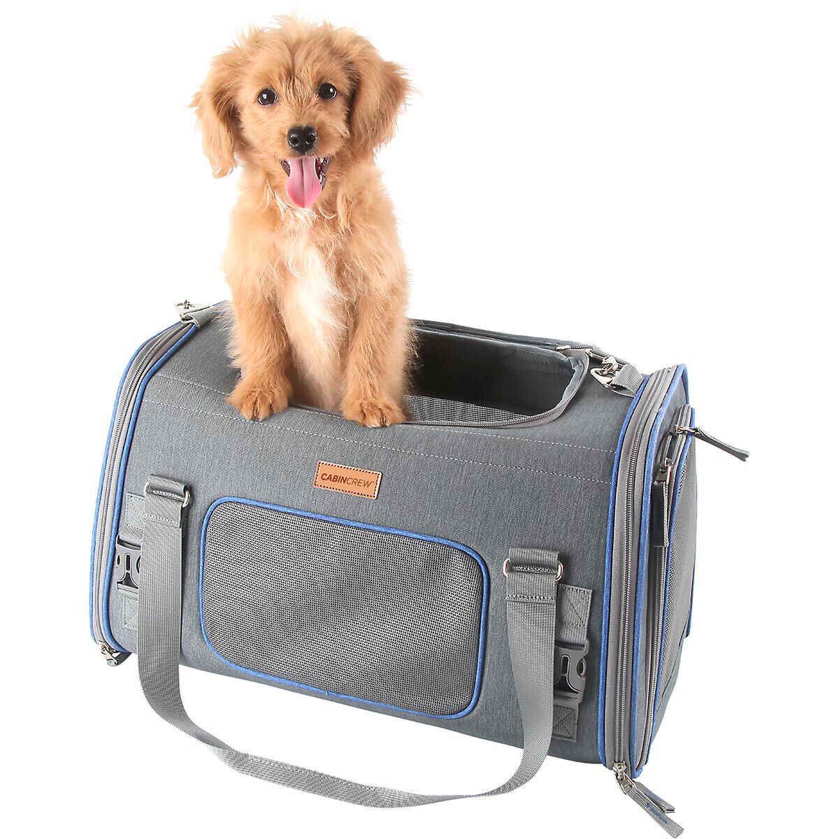 dog seat belt supercheap auto