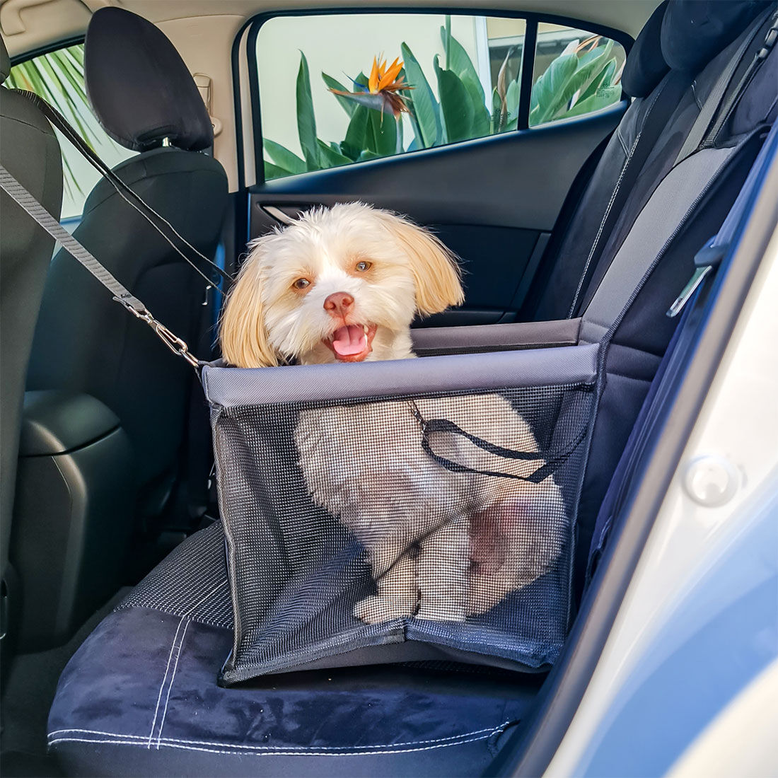Dog car hammock supercheap store