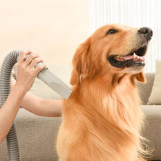 Cabin Crew Pet Grooming Dryer & Vacuum Cleaner, , scaau_hi-res