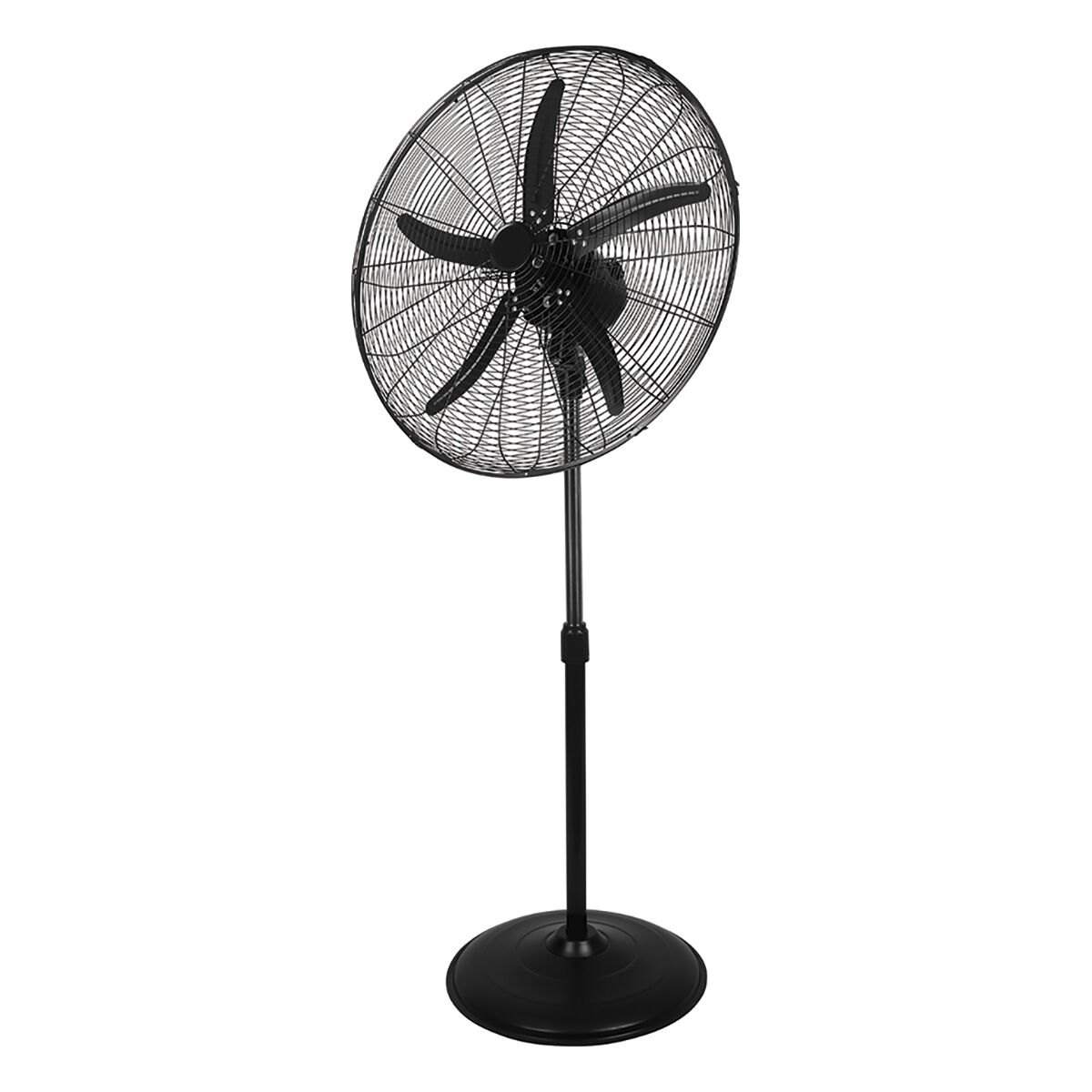 Cheap fans sales