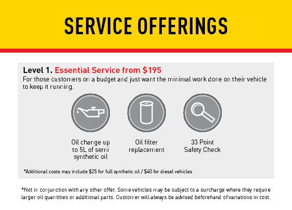 Service Offering Level 1 Service Offering Level 1