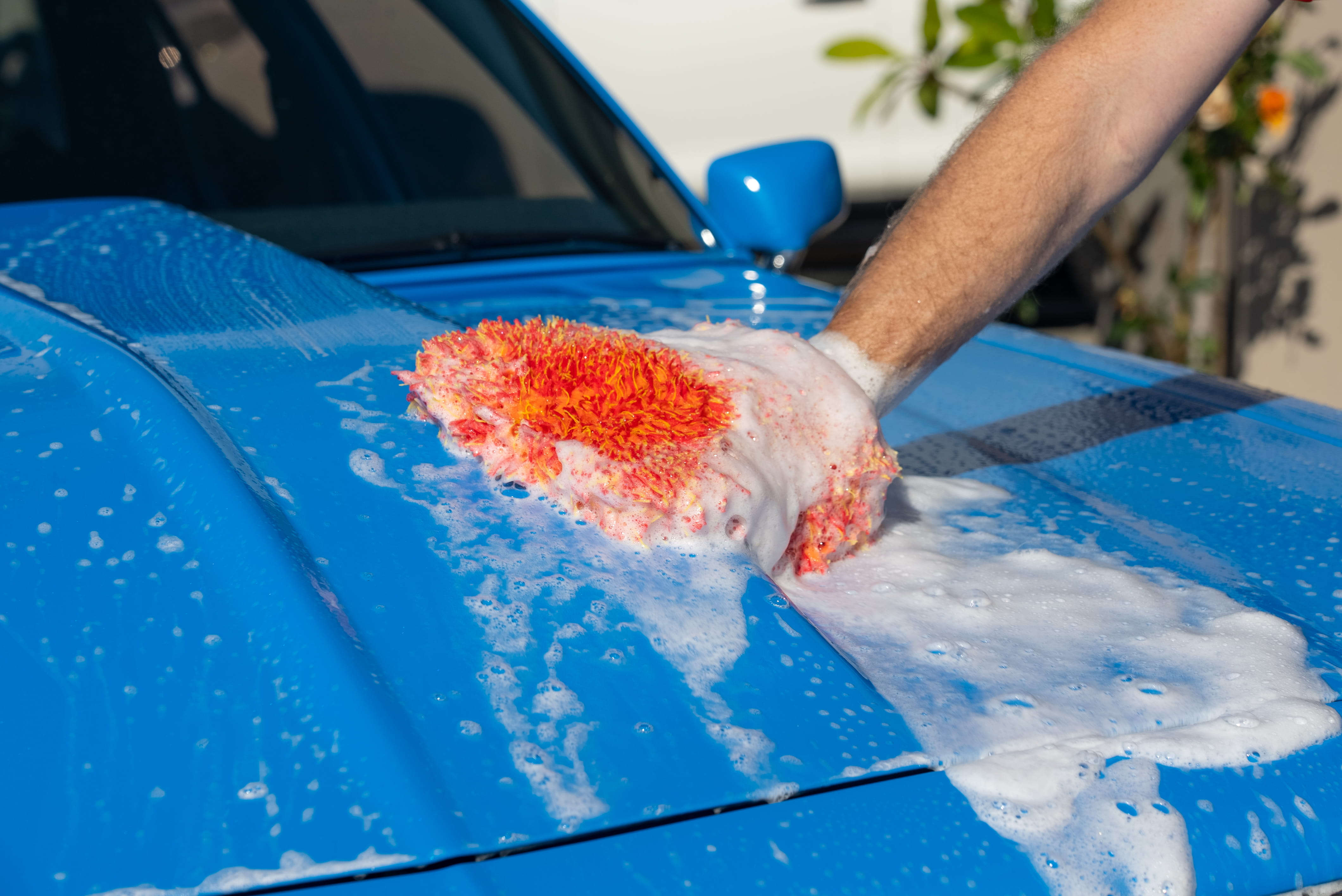 Remove Car Scratches & Swirl Marks