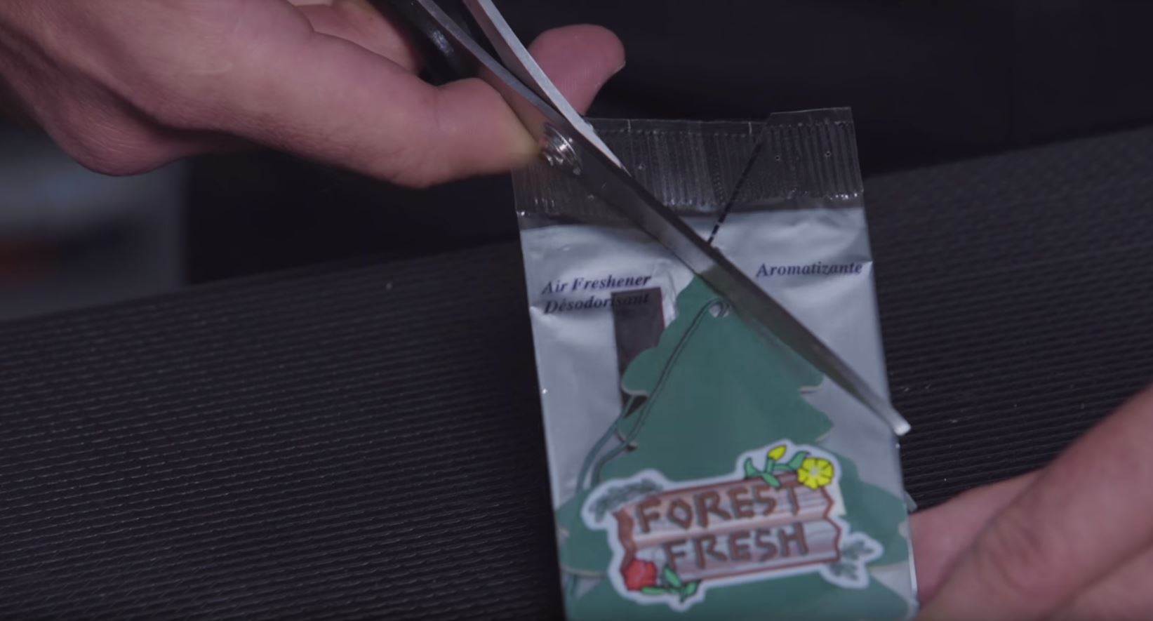 How To Make Little Trees Last Longer