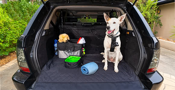 pet barrier supercheap auto